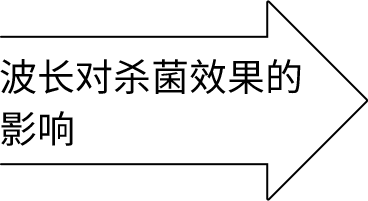 波长对杀菌效果的影响