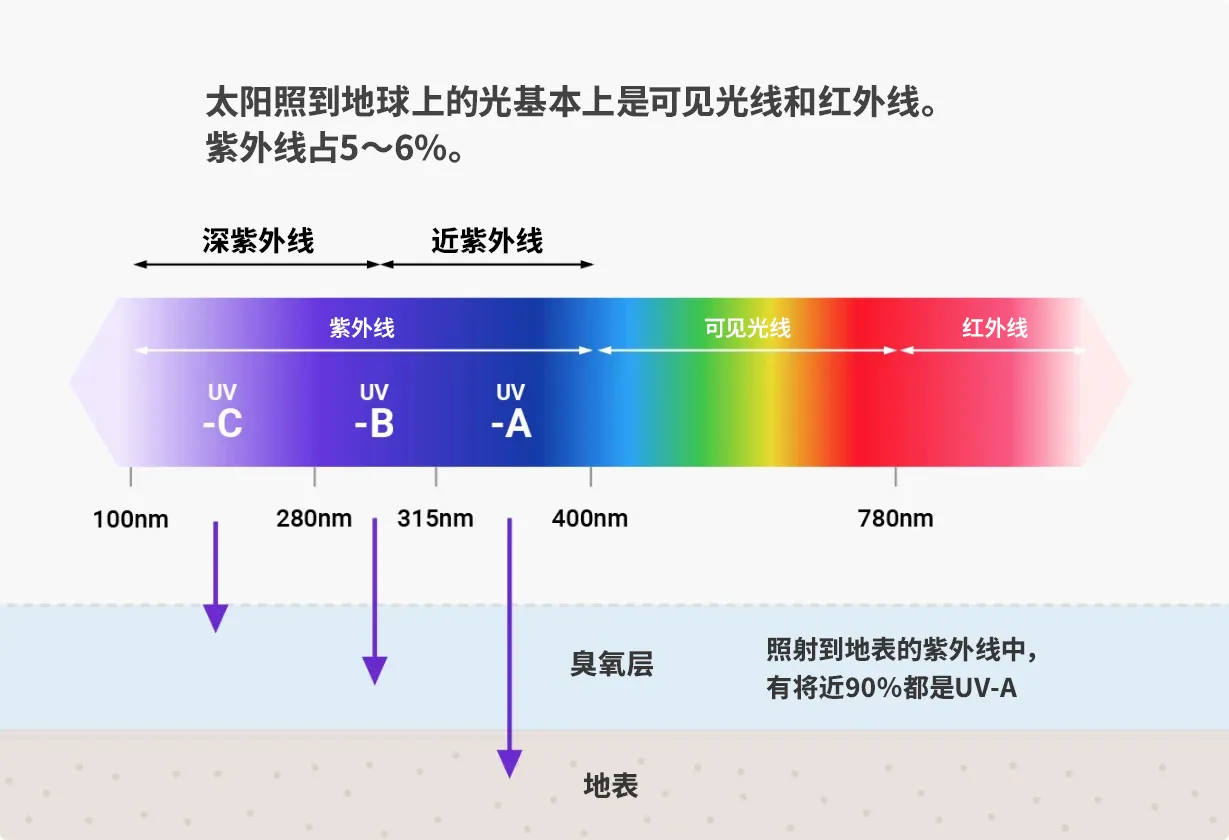 太阳照到地球上的光基本上是可见光线和红外线。紫外线占5～6%。