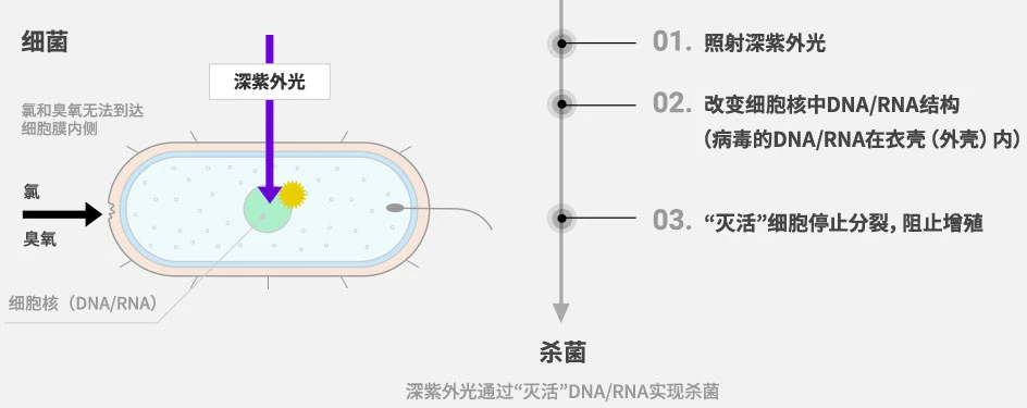 图1 深紫外线杀菌的工艺